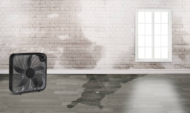 Best Flood damage cleanup  in Claremont, NH