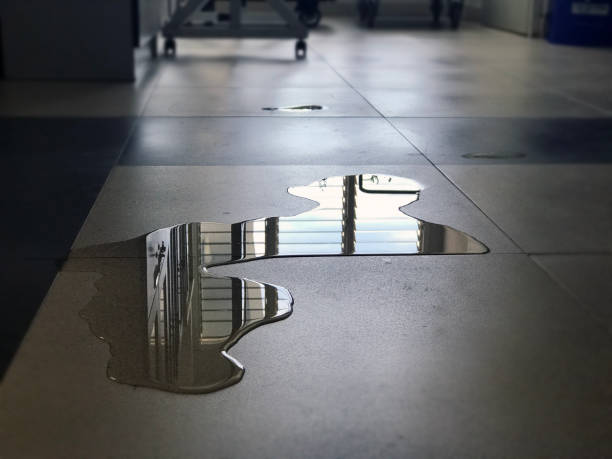 Best Local water damage restoration  in Claremont, NH