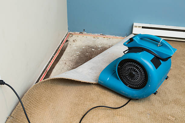 Best Water damage restoration near me  in Claremont, NH